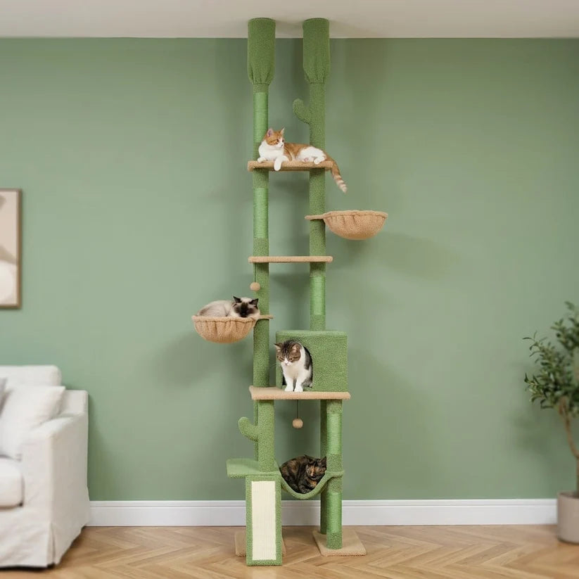Deckenhoher Kaktus-Kratzbaum – Kaktus