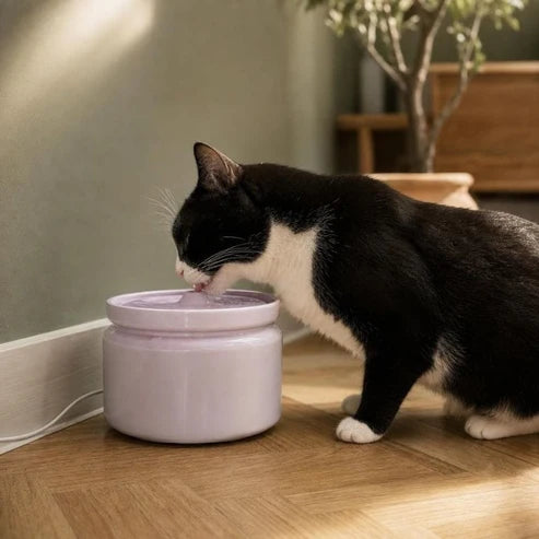 Leiser Keramik-Katzenbrunnen in Pastellfarben – Skum