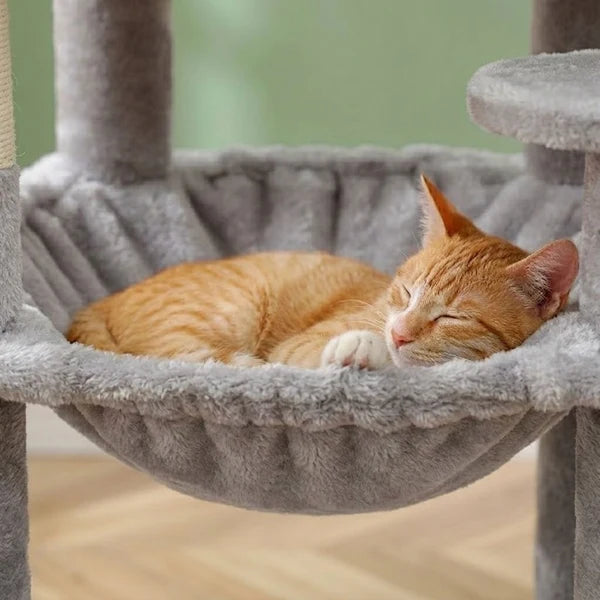Großer Kratzbaum für Maine Coon – Alm