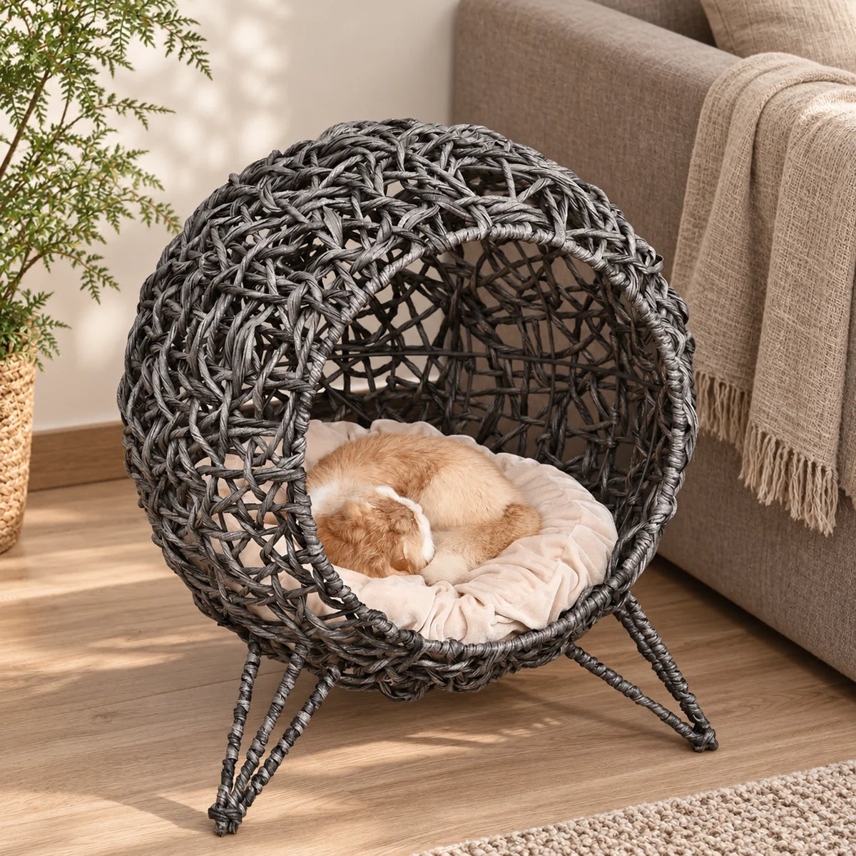 Katzenkorb Reir im Wohnzimmer mit Katze auf dem cremefarbenen Kissen