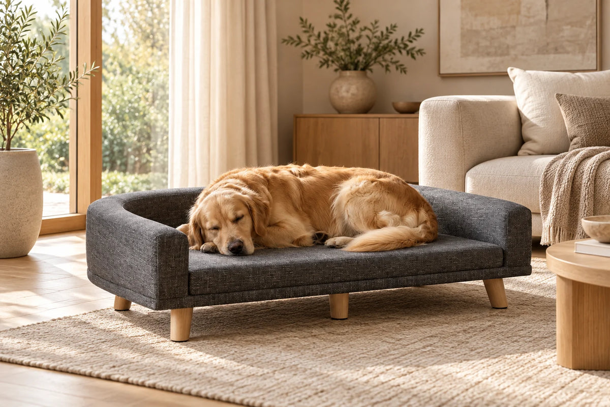 Couchage COZYLOW - photo lifestyle
