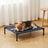 Hund auf dem erhöhten Hundebett Bris
