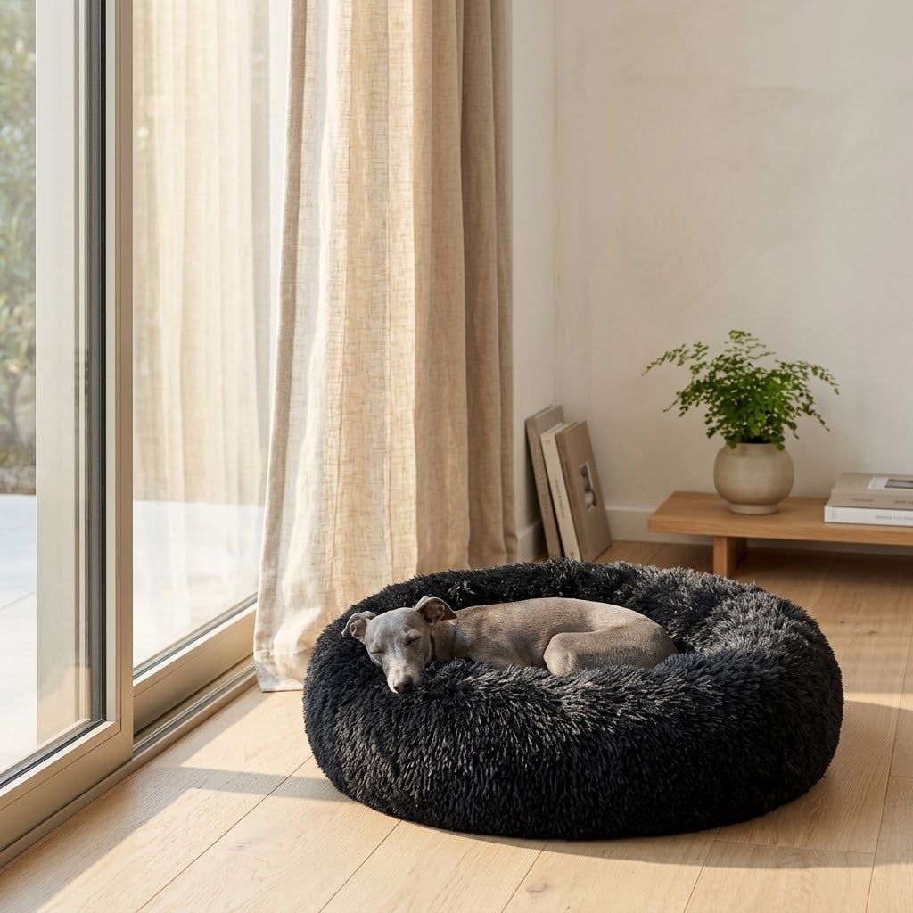 Hund im Donut-Hundebett Dvala